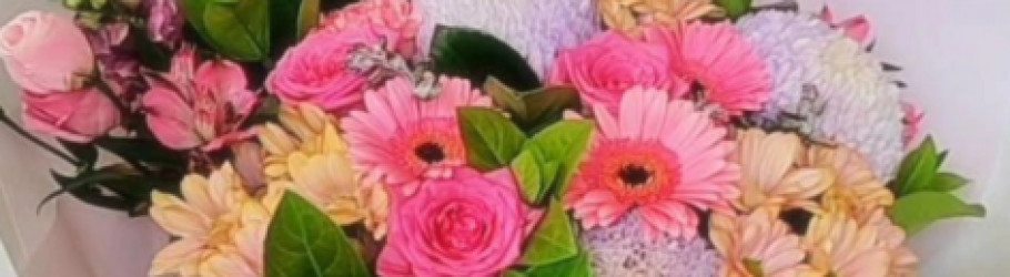 blossombydaisy