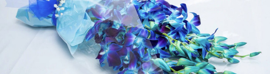 livingflowers