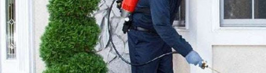 pestcontrolperth