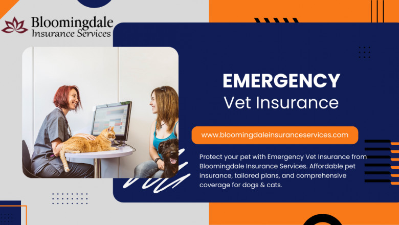 Emergency Vet Insurance and Pet Wellness Plans | Bloomingdale Insurance Services: Protect Your Pet Today