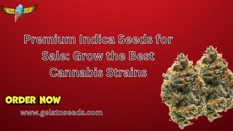 Premium Indica Seeds for Sale: Grow the Best Cannabis Strains