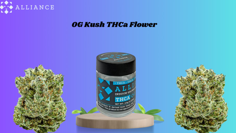 Exploring OG Kush THCa Flower: The Ultimate Relaxation