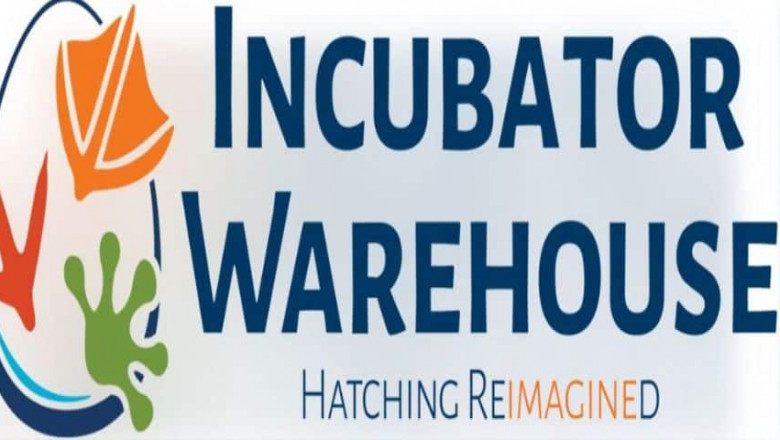 Discover the Best Reptile Egg Incubators on the Market