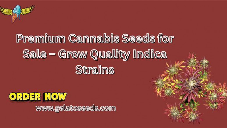Premium Cannabis Seeds for Sale – Grow Quality Indica Strains