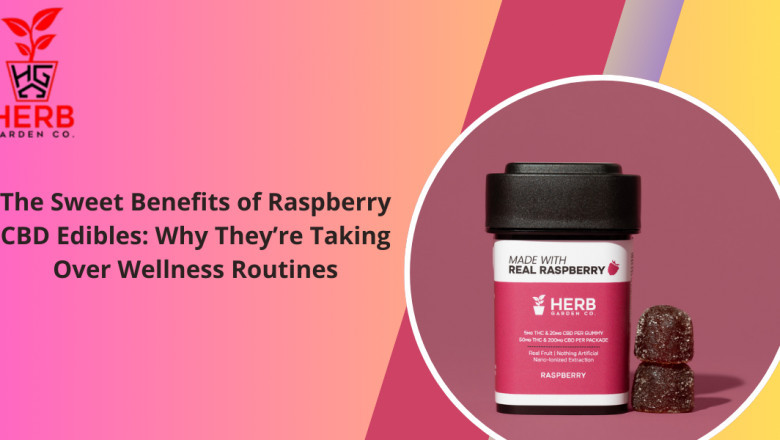 The Sweet Benefits of Raspberry CBD Edibles: Why They’re Taking Over Wellness Routines
