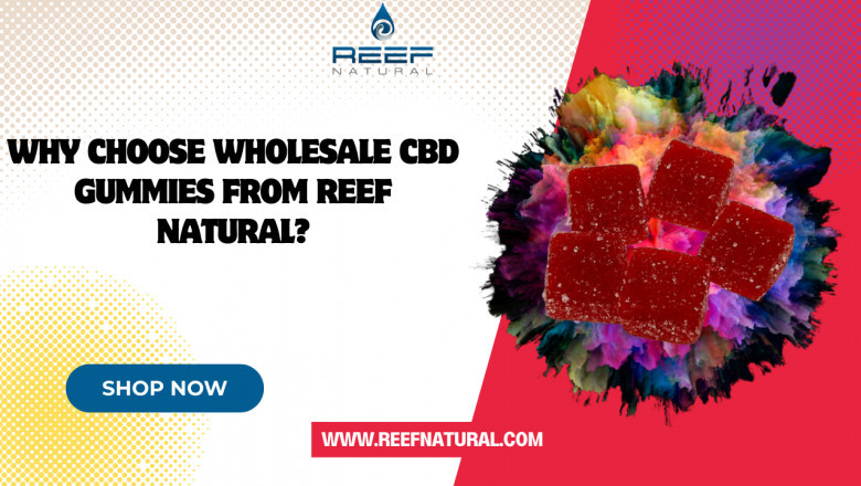 Why Choose Wholesale CBD Gummies from Reef Natural?