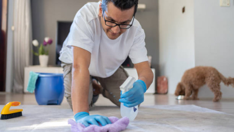 How to Remove Pet Stains from Carpet Before They Ruin It