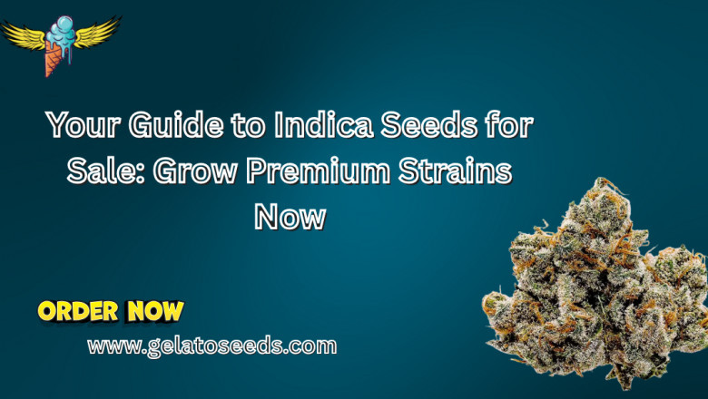 Your Guide to Indica Seeds for Sale: Grow Premium Strains Now
