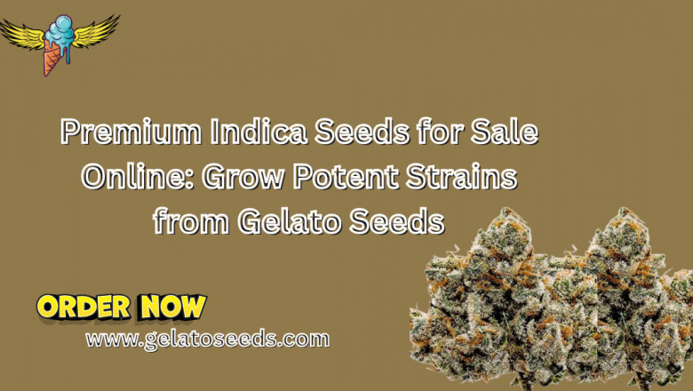 Premium Indica Seeds for Sale Online: Grow Potent Strains from Gelato Seeds
