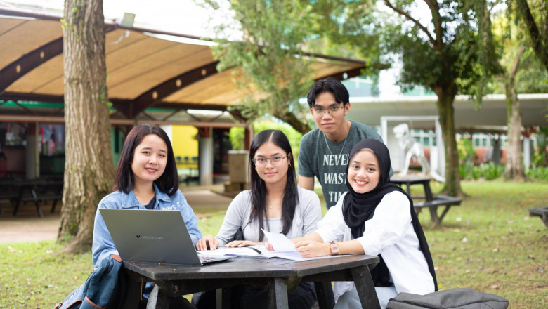 Expert CIPD Coursework Help: Your Path to Success