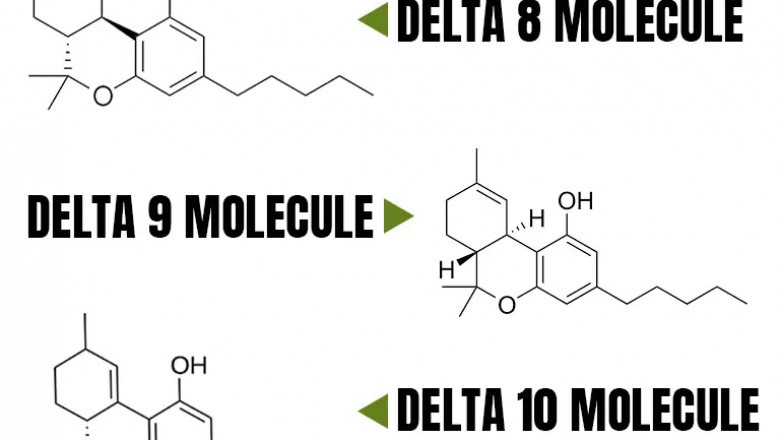 Delta 9 Oil for Pain, Sleep, and Anxiety: Does It Really Work?
