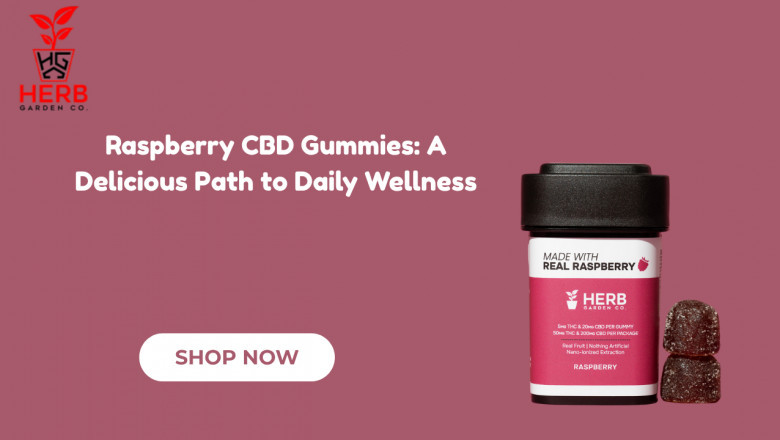 Raspberry CBD Gummies: A Delicious Path to Daily Wellness