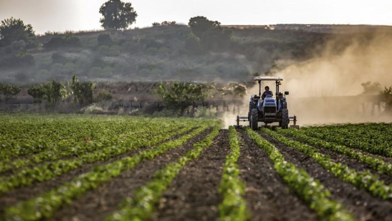 7 Proven Sustainable Agriculture Methods for Small Farms