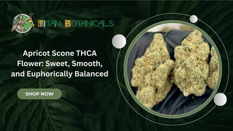 Apricot Scone THCA Flower: Sweet, Smooth, and Euphorically Balanced