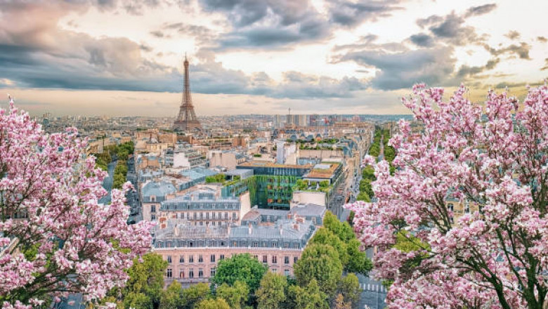 Top 5 Things to Do in Paris for Every Visitor