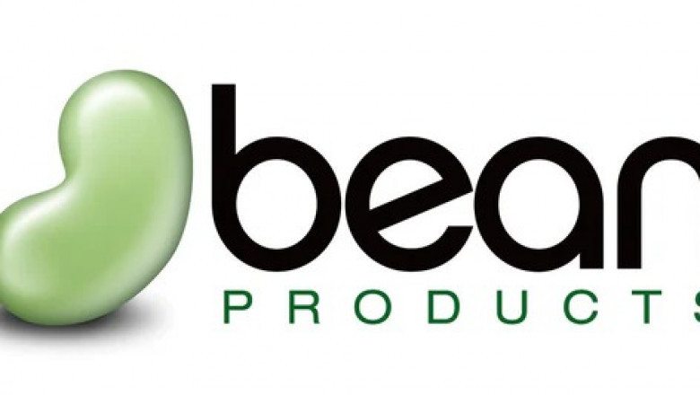 Fun and Comfy Kids Bean Bag Chair