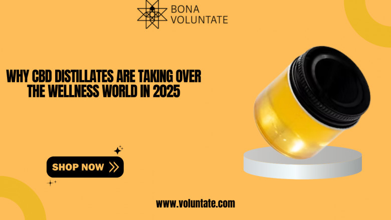 Why CBD Distillates Are Taking Over the Wellness World in 2025
