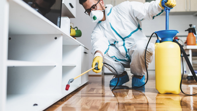 Seasonal Pest Control Tips for Milwaukee Homeowners