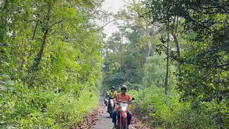 Explore the Hidden Heart of Southeast Asia with Motorbike Tours Vietnam