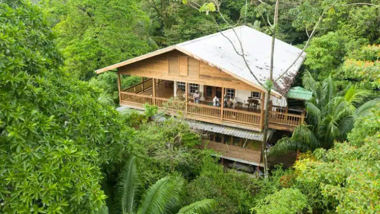 Discover the Best Bocas del Toro Resorts for Your Caribbean Escape
