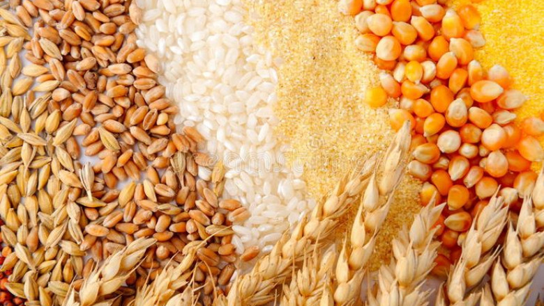 Level Up Your Crop Care Game with Cropex – The Smart Choice for Modern Farmers