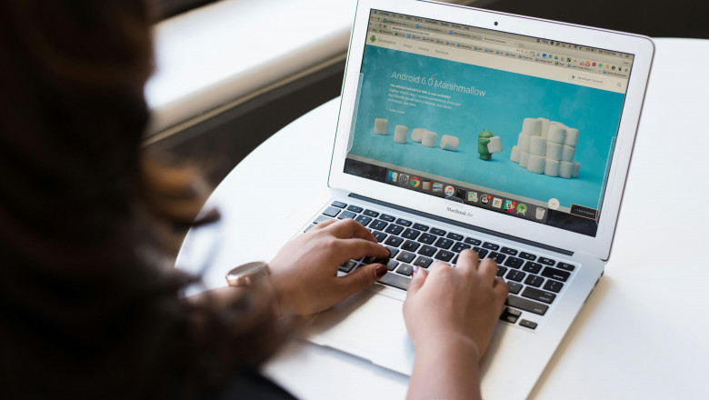 Local Website Development Experts in Yamuna Bank