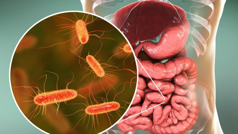 Fenbendazole 444 Mg: Effective Against a Wide Variety of Parasites