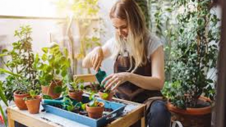 US Home Gardening & Planting Market Growth, Demand & Forecast Overview to 2030