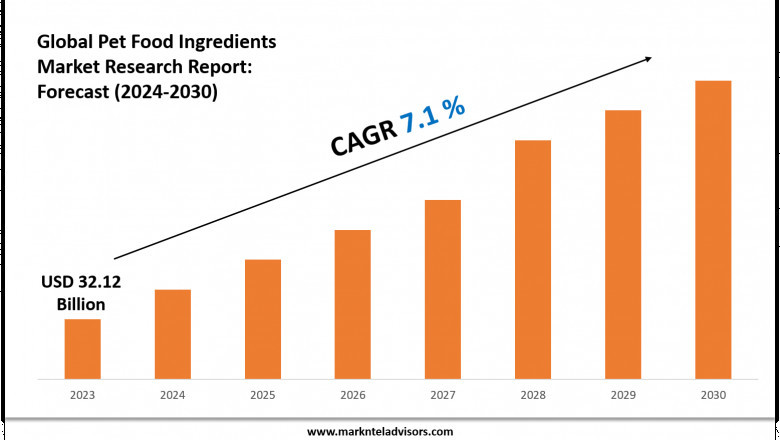 Pet Food Ingredients Market Growth Forecast to 2030: Size & Demand Outlook