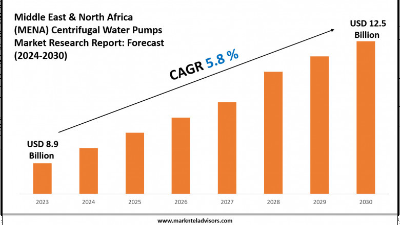 Middle East & North Africa (MENA) Centrifugal Water Pumps Market Forecast: Growth Drivers & Outlook to 2030