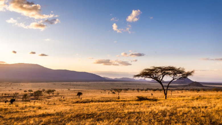 Explore Kenya’s Hidden Gems and Landscapes
