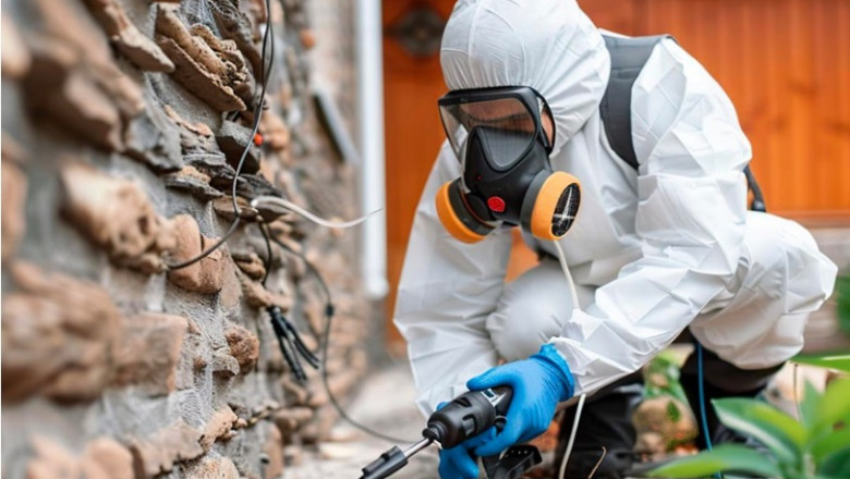 The Ultimate Guide to Termite Pest Control: Protecting Your Home from Silent Destroyers
