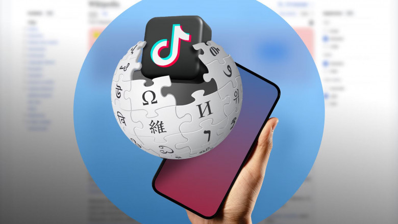 How To Create A Wiki Page For TikTokers